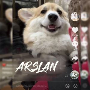 Arslan - Буду твоим пёсиком