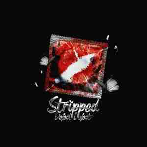 Defect Defect - Stripped