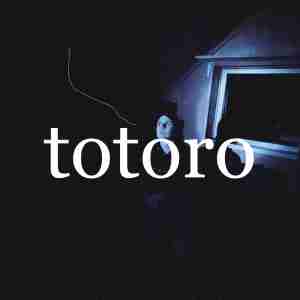 интакто - Тоторо
