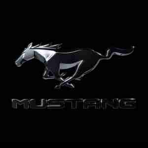 NXN, Nick Rouze - Mustang