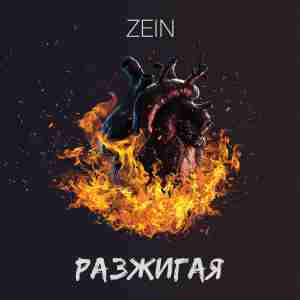 ZEIN - Разжигая
