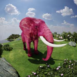 ЭТОЧЕ - розовый слон